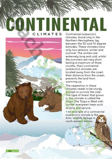 Climate Types of the World Poster - Continental Climates Teaching ...