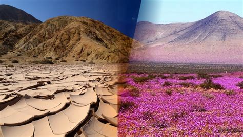 Sandboarding in San Pedro de Atacama (Chile's Death Valley) - Surf the Sand