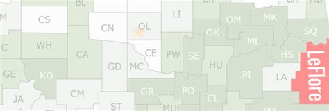 Search County Public & Vital Records of LeFlore County, Oklahoma