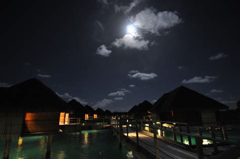 Bora Bora at night....oh, so I miss that sky.... | Bora bora island, Bora bora tahiti, Bora bora ...