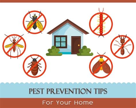 Top 8 Tips to Prevent Pest Infestation at Your Home!