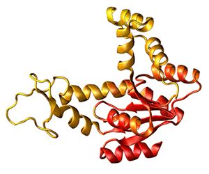 Protein Synthesis Animation Gifs at Best Animations