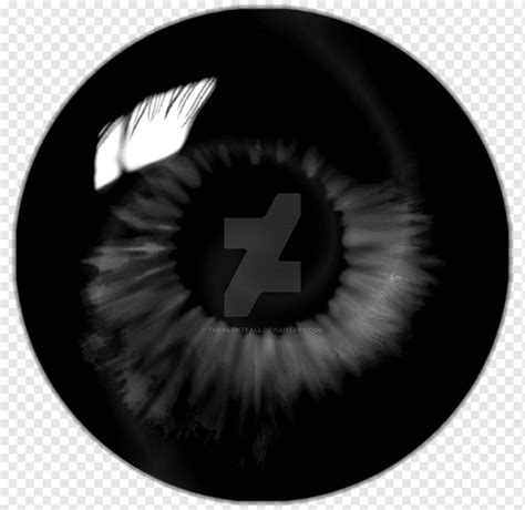 Iris Black eye Darkness Color, Eye, white, people, monochrome png | PNGWing