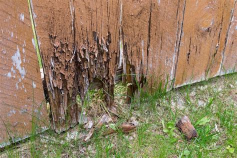 3 Signs Your Fence was Damaged Over the Winter - Ideal Fence Ottawa