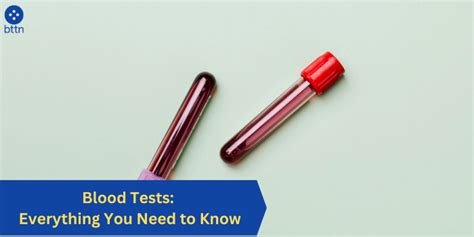 Blood Tests: Everything You Need to Know - bttn