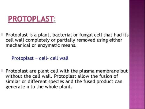 PROTOPLAST ISOLATION & FUSION