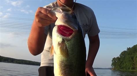 Bass Fishing Badin Lake - YouTube