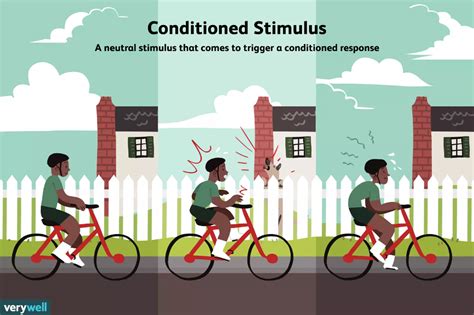 What Is a Conditioned Stimulus? | Educational psychology, Bulletin journal ideas, Right brain