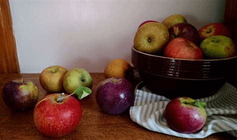 Heirloom Apple Crisp Recipe - Our Heritage of Health