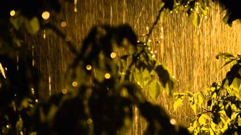 20 Aug2014.Rain in night - Heavy rain sound & video in beautiful nature ...