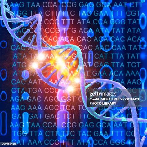 37 Nucleic Acid Sequence Stock Photos, High-Res Pictures, and Images ...