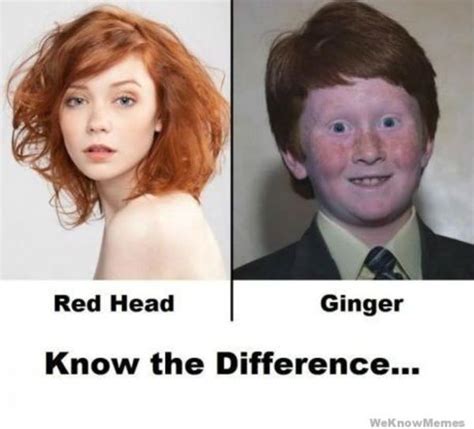 [Image - 263489] | Over Confident Ginger | Know Your Meme