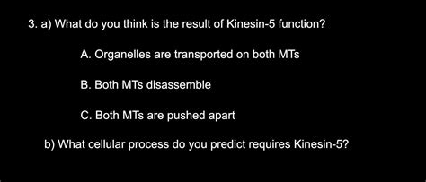 Solved 3. a) What do you think is the result of Kinesin-5 | Chegg.com