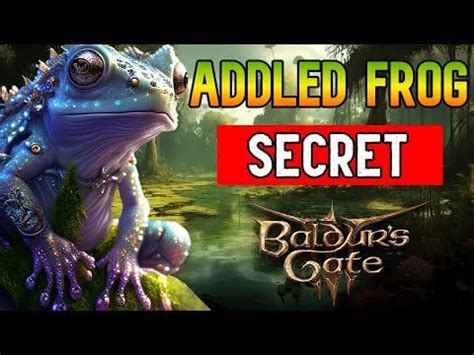 Addled Frog Secret Treasure (Swamp) - Baldur's Gate 3 : r/WizardWorm