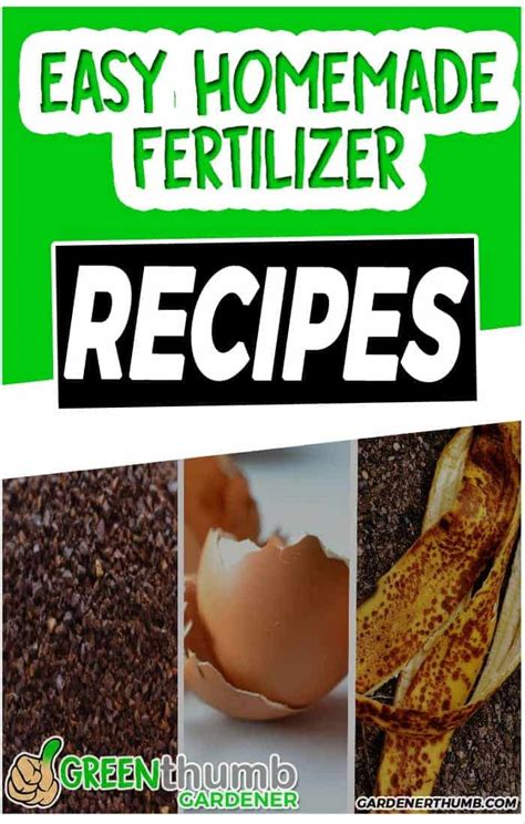 Homemade Fertilizer for Your Garden | Make Natural Fertilizers the Easy Way | Green Thumb Gardener