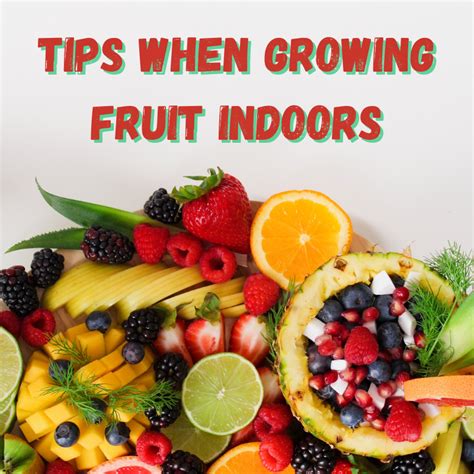 Tips When Growing Fruit Indoors - Ace's Garden & Landscape, LLC