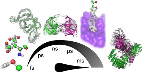 Publication in International Journal of Molecular Sciences | Laboratory ...