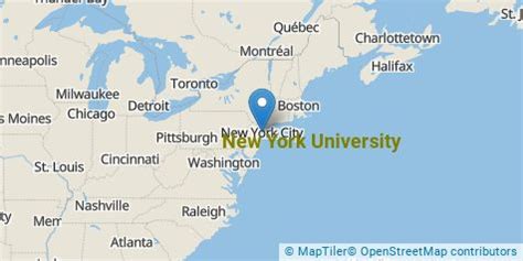 New York University Overview