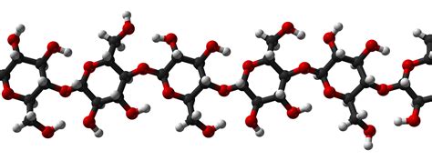 Natural Polymers - EP 342: Materials Science - LibGuides at Kettering University