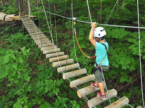 Treetop Trekking Hamilton - Hometown Hub