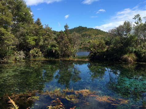 Sources de Te Waikoropupu, NZL : locations de vacances | Abritel