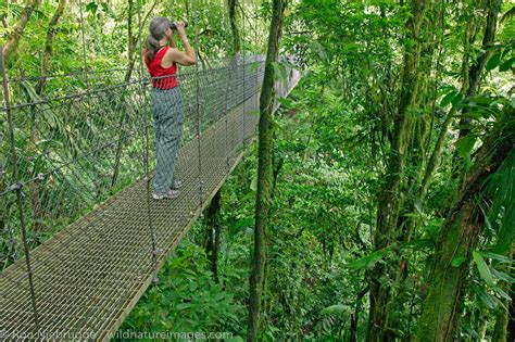 Arenal Hanging Bridges | Photos by Ron Niebrugge