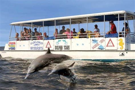 Dolphin Tour Outer Banks | Outer banks north carolina vacation, Dolphin tours, Outer banks north ...