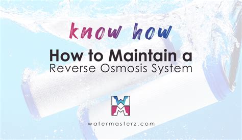 Reverse Osmosis System Maintenance: Guide & Schedule