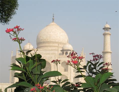 Flowers with the Taj Mahal in the background | Flowers with … | Flickr ...