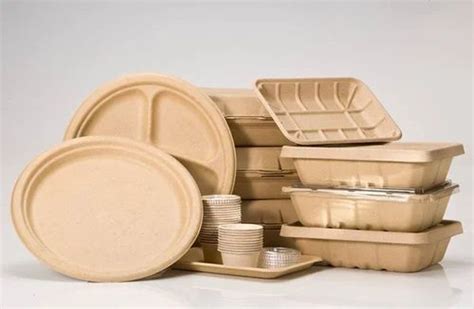 Biodegradable Disposables Plate at Rs 5/piece | Biodegradable Paper ...