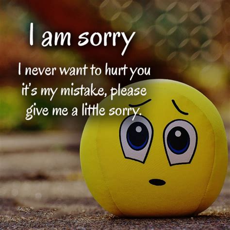 Sorry Quotes For Best Friend, Sorry Messages for Friends