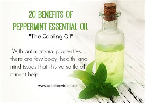 20 Benefits Of Peppermint Essential Oil - CELESTINE VISION