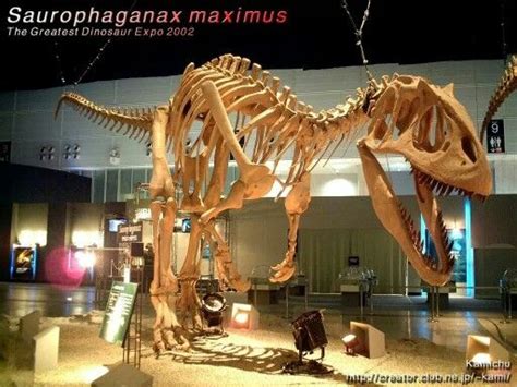 Saurophaganax Skeleton