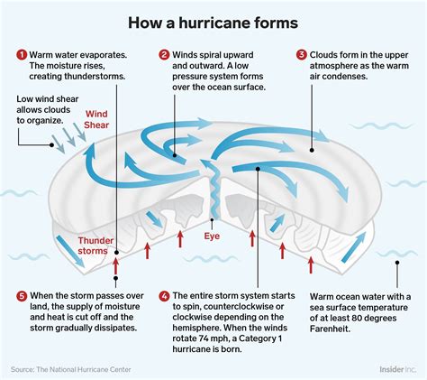 HowHurricanesForm How Are Hurricanes Formed, Weather Science, Weather And Climate, Tornadoes ...