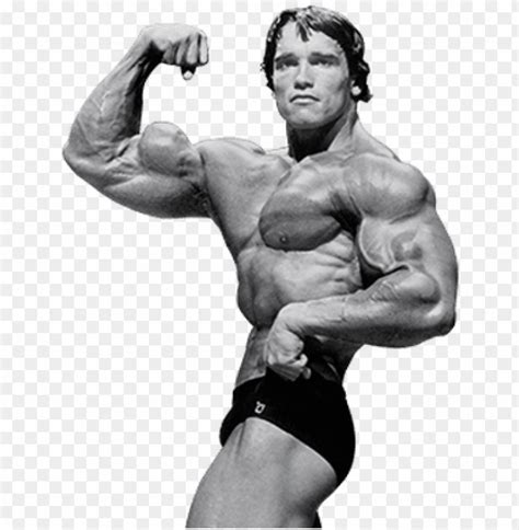 Arnold Schwarzenegger Png File - Arnold PNG Transparent With Clear Background ID 179719 | TOPpng