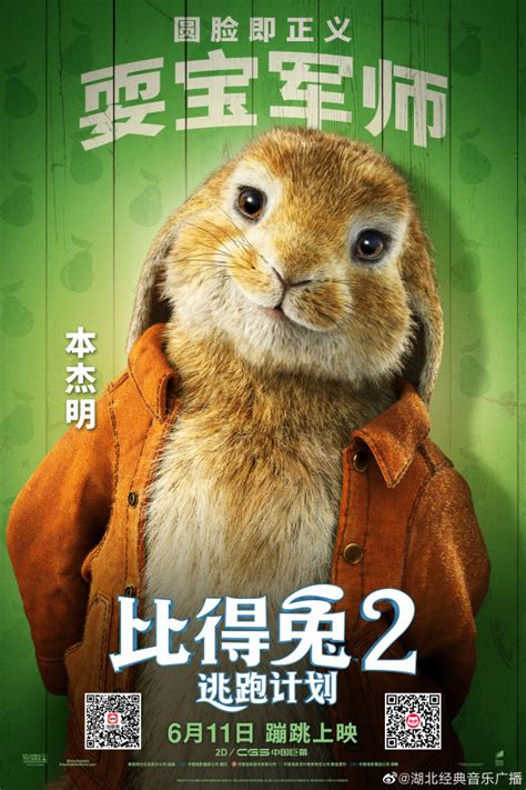 Peter Rabbit 2 (2020) - Poster CN - 4724*7087px