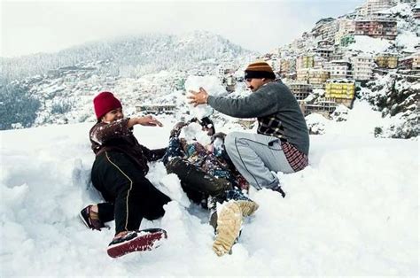 Snowfall In Shimla: Take A White Winter Trip This 2023