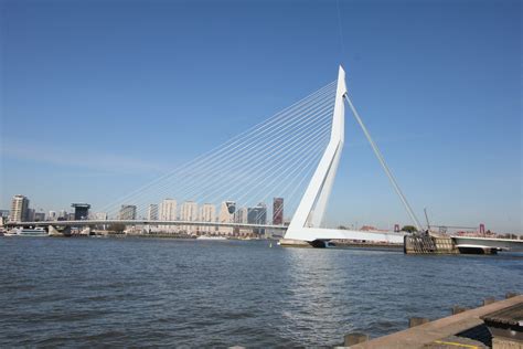 Erasmusbrug | The Erasmusbrug ("Erasmus Bridge") is a cable … | Flickr