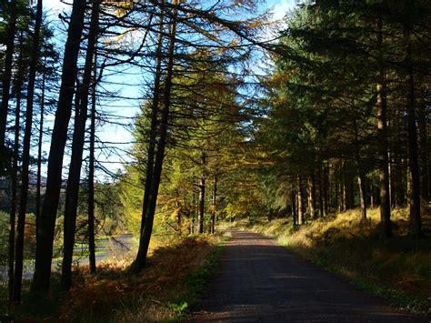 The ever-so scenic Raiders Road Forest Drive in the Galloway Forest ...