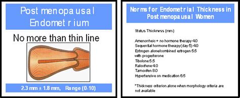 8mm Endometrial Thickness Postmenopausal Treatment - slidesharetrick