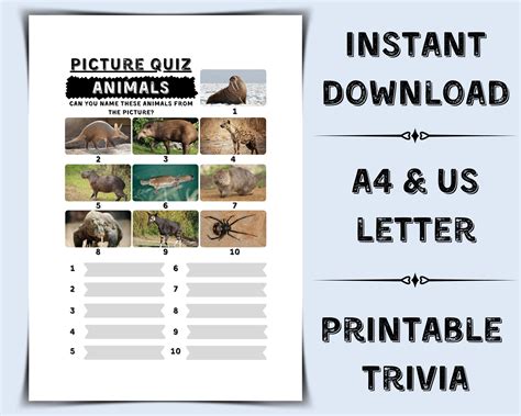 Printable Animals Picture Quiz Pub Quiz Picture Round Animal Trivia ...