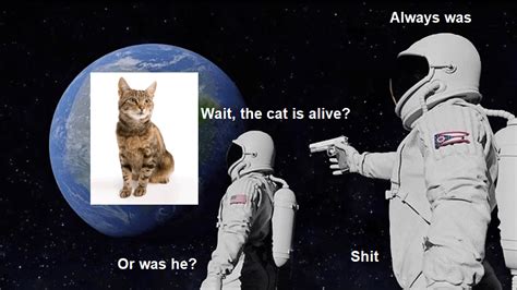 Schrödinger's cat meme : r/memes