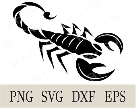 Scorpion Vector Clip Art PNG Scorpion Cutting File EPS - Etsy