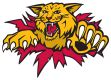 Moncton Wildcats - Roster, News, Stats & more