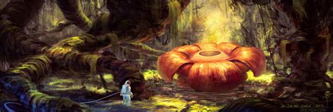 Rafflesia by iancjw on DeviantArt