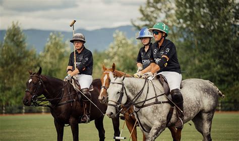 Polo Athletes - Horse and Rider