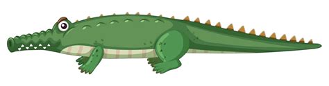 Crocodile Nature Illustration Isolated Vector, Nature, Illustration, Isolated PNG and Vector ...