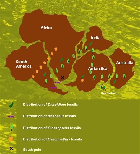 The Mesozoic Era (252 - 66 million years ago) - The Australian Museum