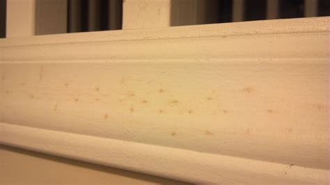 Yellow/brown spots coming through paint on trim (colors, installed, bathroom) - House ...