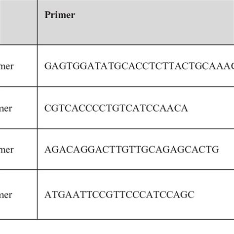 the used primers used in ARMS-PCR technique | Download Scientific Diagram